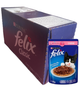 Felix Gatitos carne 85Grx15und