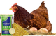 CoriGallina Postura (Concentrado) Granel