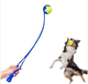 Lanzador de pelotas para perros