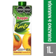 Jugo BAGGIO 1LT tp