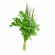 CHEIRO VERDE