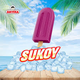 HELADO SUKOY HIELO SURTIDO