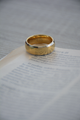 ANILLO GOLD ROLL 2