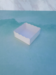Caja Cookies Tapa Pvc 12X12X5