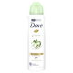 DOVE PEPINO TE VERDE