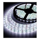 CINTA LED 12V LUZ BLANCA 5MTS