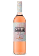 callia TARDIO rose