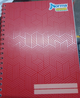 Cuaderno Norma profesional cuadro chico