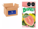 BOING 250ML GUAYABA