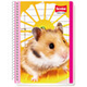 CUADERNO SCRIBE PROFESIONAL  C/GRANDE IMAGEN 74 CUADERNOS
