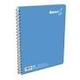 CUADERNO RAYTER FRANCES C/CHICO