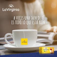 TE LA VIRGINIA X 1 SAQUITO