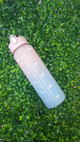 Tomatodo de colores 900ml