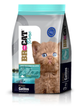 BR gatitos salmón 3kg