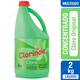 Cloro Clorinda 2 LT
