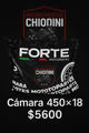 CAMARA 450X18 (FORTE)