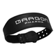 CINTURON DRAGON PHARMA