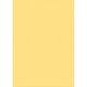 CART N PREMIUM 500X700 AMARILLO