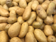 Papas