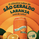 SÃO GERALDO LARANJA 350ml