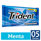 TRIDENT MENTA  5.1 GMS