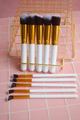 KIT BROCHAS KABUKY X 10