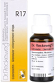 scrophulae gastreu r17