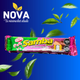 SAMBA FRESA