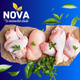 POLLO PICADO