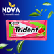 TRIDENTE SANDIA