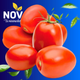 TOMATE