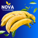 PLATANO