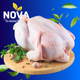 POLLO ENTERO