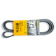 Correa Unica 6PK1795 Corsa 1.6 CONTINENTAL