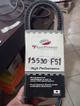 FAJA DENTADA    F51      9.51345 / 15530