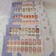 Uñas postizas c/pegamento 25313/25314