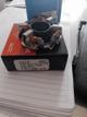 Portacarbon bosch gv125 trafic expres