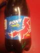 Pony Malta
