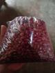 Frijoles en libras