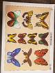 Lamina "Las mariposas" Craf
