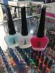 Bases evolution masglopaso 1