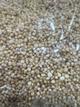 Quinoa pop dulce 250grs