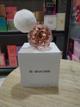 Tester Ariana grande Ari