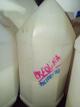 CREOLINA 1LITRO SUELTO