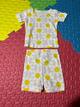 Conjunto bundles