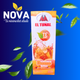 JUGO TUNAL 1L DURAZNO