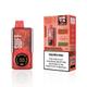 Vape SWFT Dual Mesh 30000 Puff StrawMelon Ice