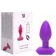 Plug Anal Vibrador e Rotação
