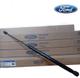 Amort Compuerta 2.0 EcoSport Titanium