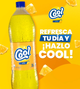 Cool Piña 2lts x 6unid